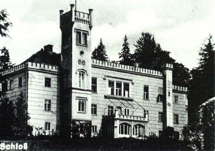 Palac Dabrowica Dabrowica  Εξωτερικό φωτογραφία